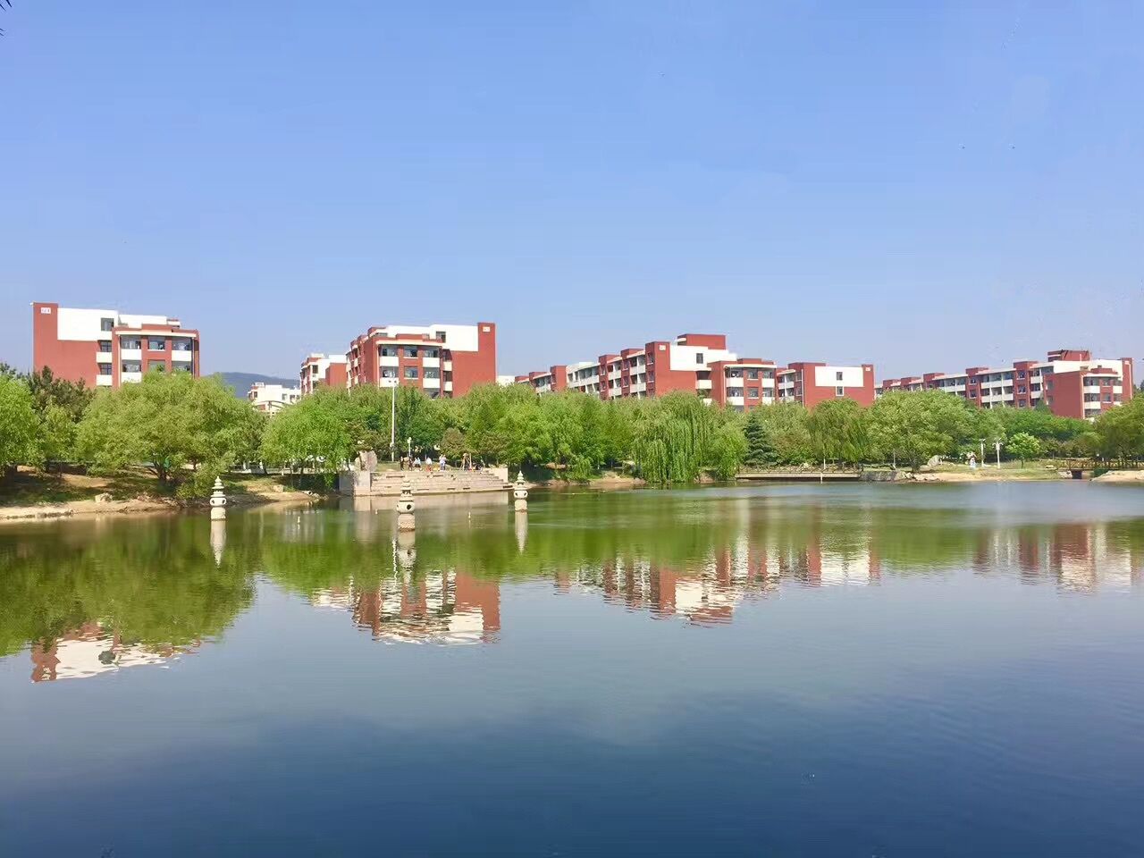 1590543924954045.jpg 1590543924954045.jpg